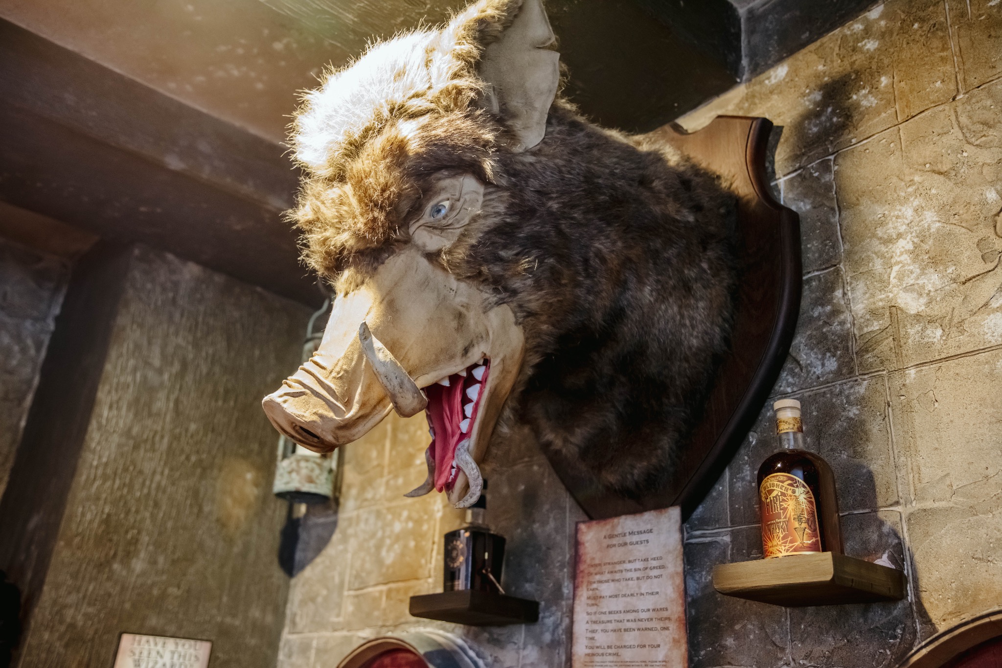 The Proprietor